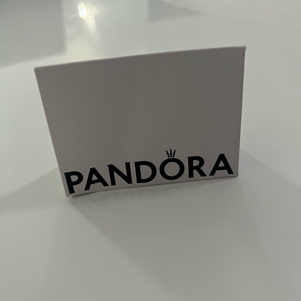 New! Pandora infinity earrings